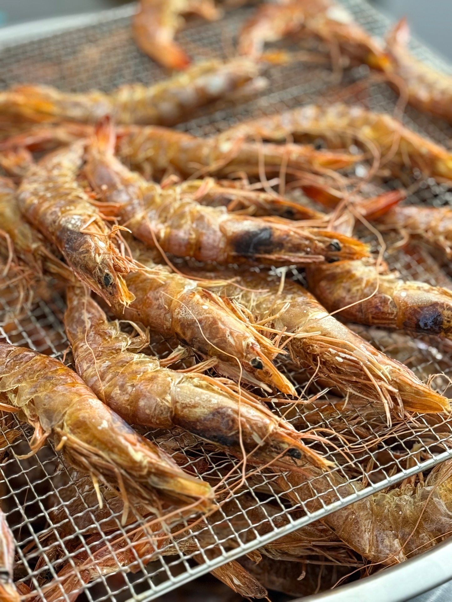Carnivore Chips - Large Shrimp