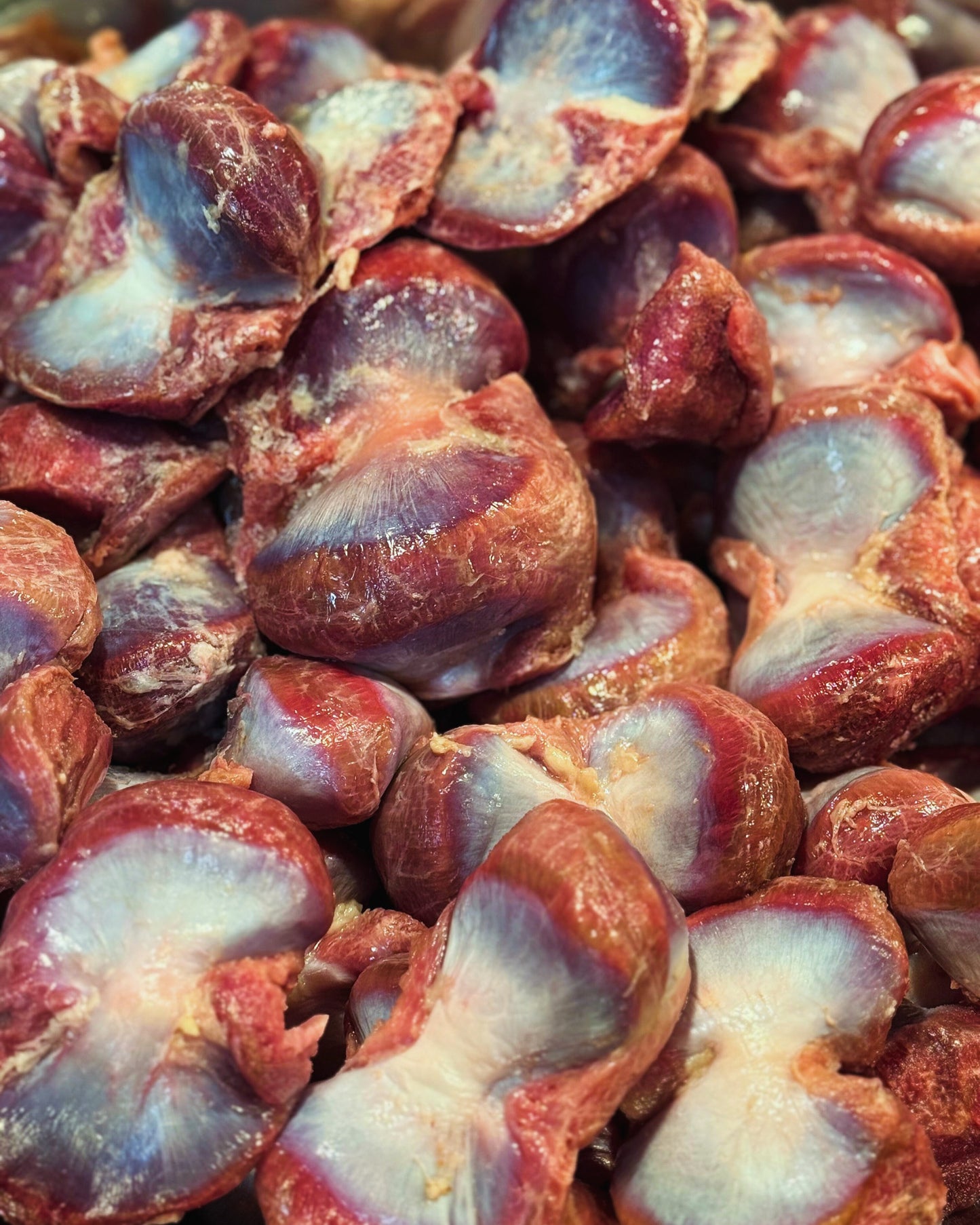 Carnivore Chips - Turkey Gizzard 3oz