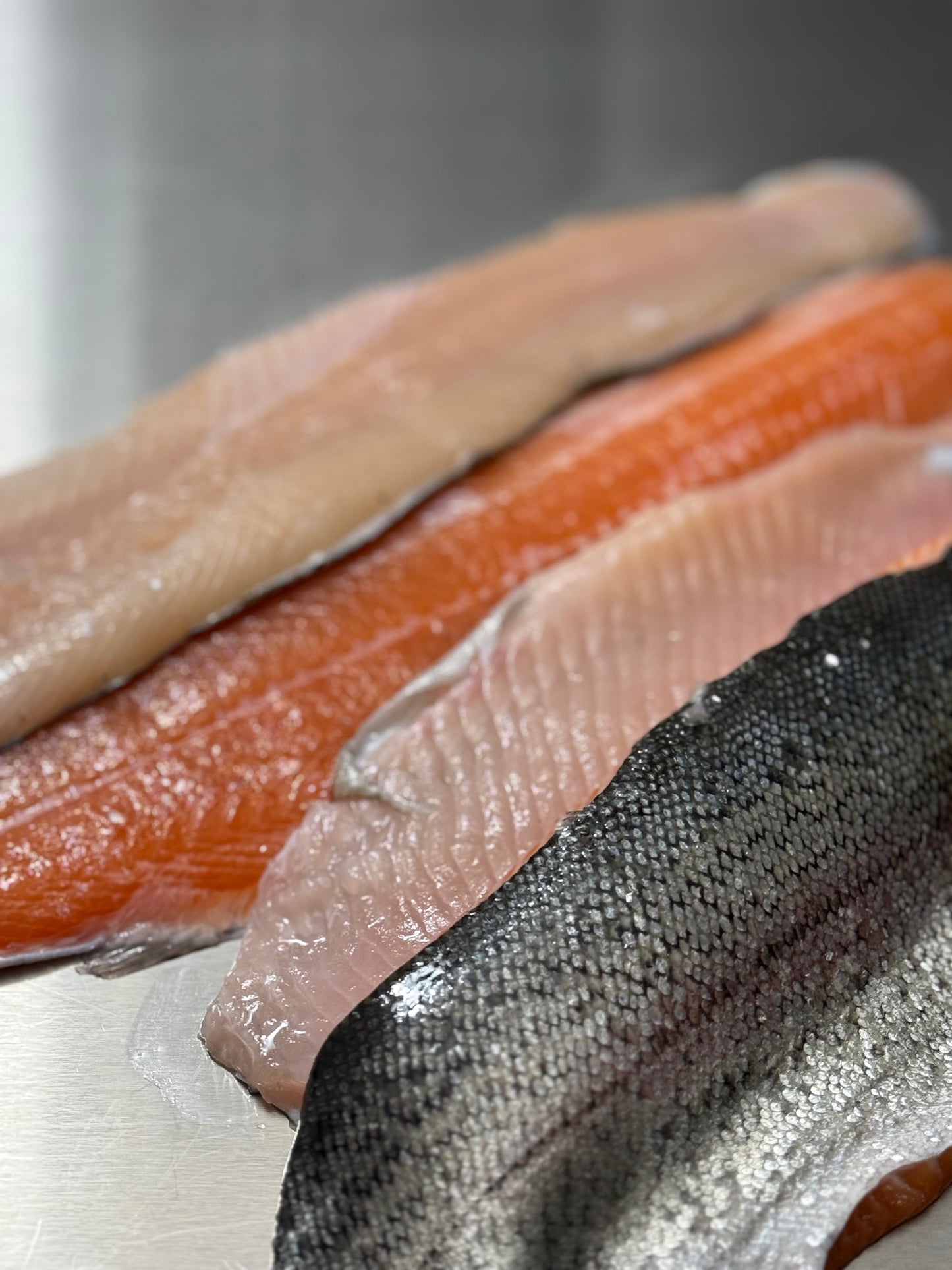 Carnivore Chips - Rainbow Trout 4oz