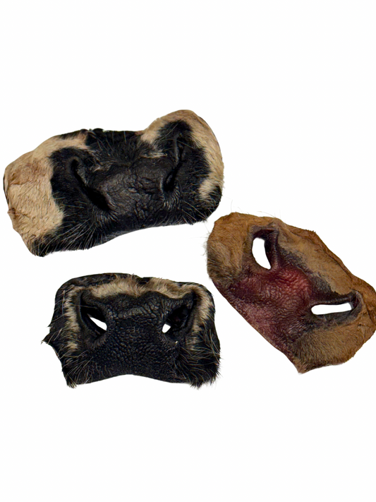 Fur-On Cow Snout