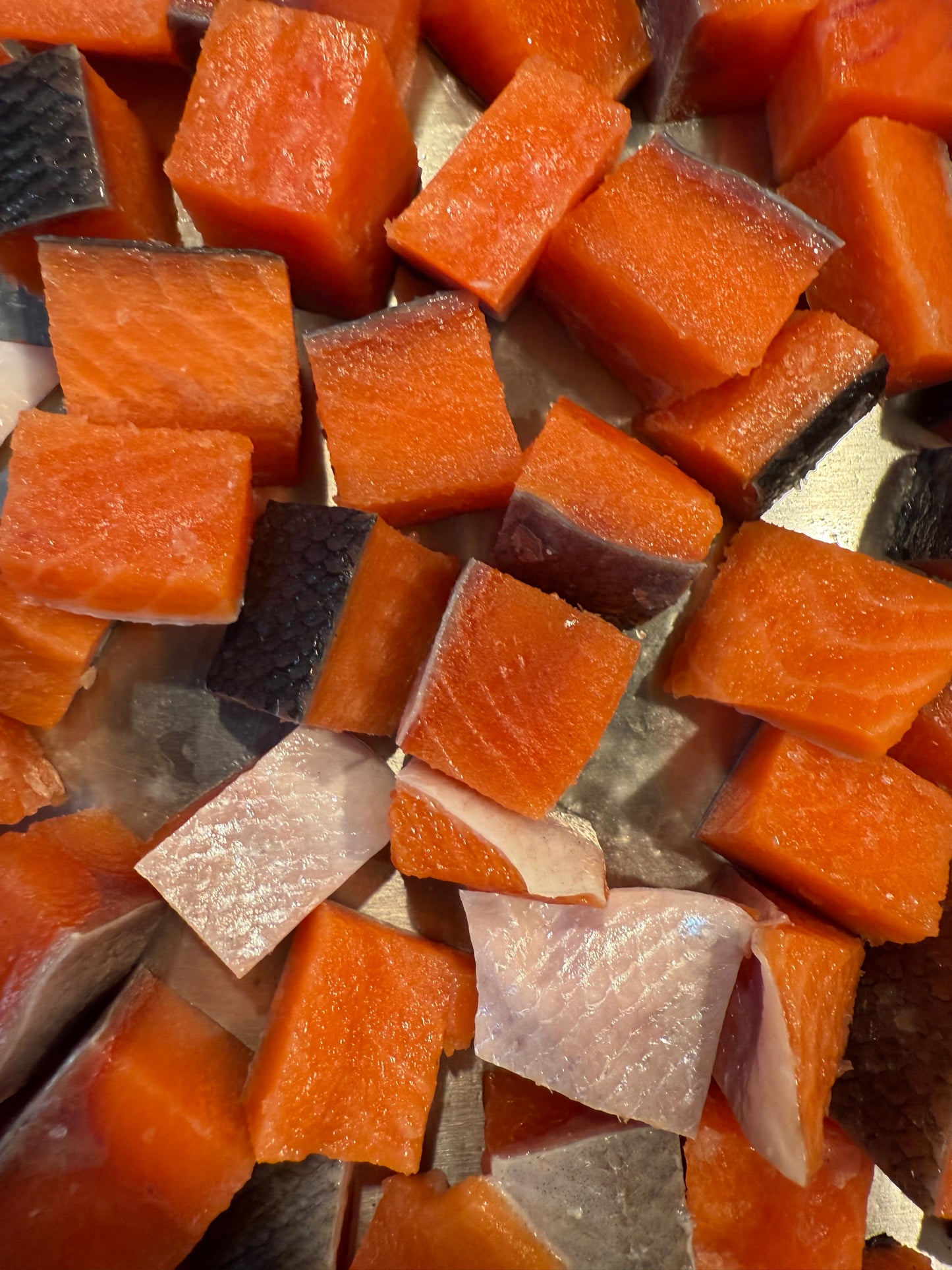 Carnivore Bites - Sockeye Salmon