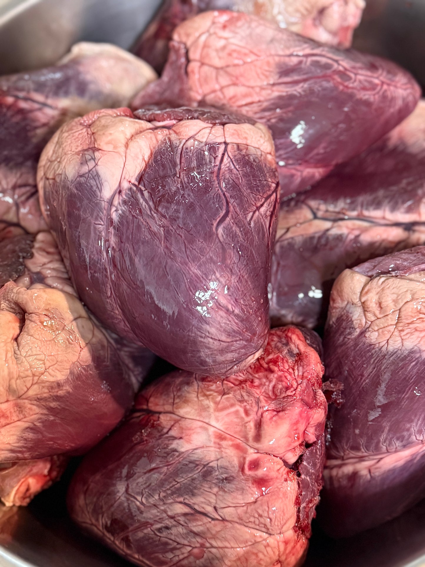 Carnivore Chips - Elk Heart 3oz