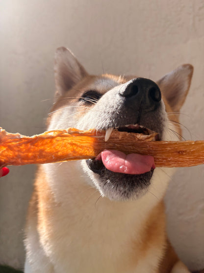 Carnivore Chips - Chicken 4oz