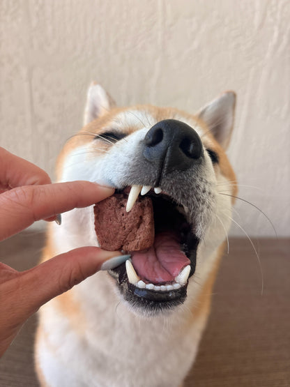 Carnivore Bites - Kangaroo