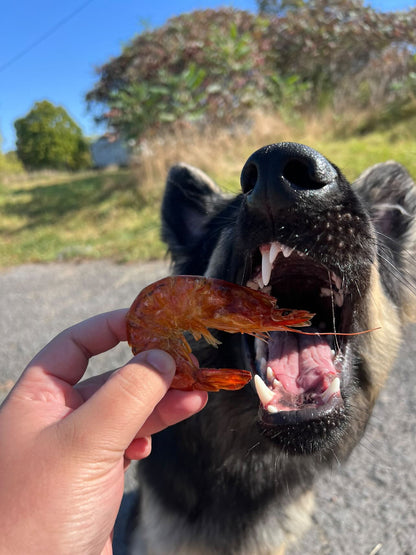 Carnivore Chips - Large Shrimp