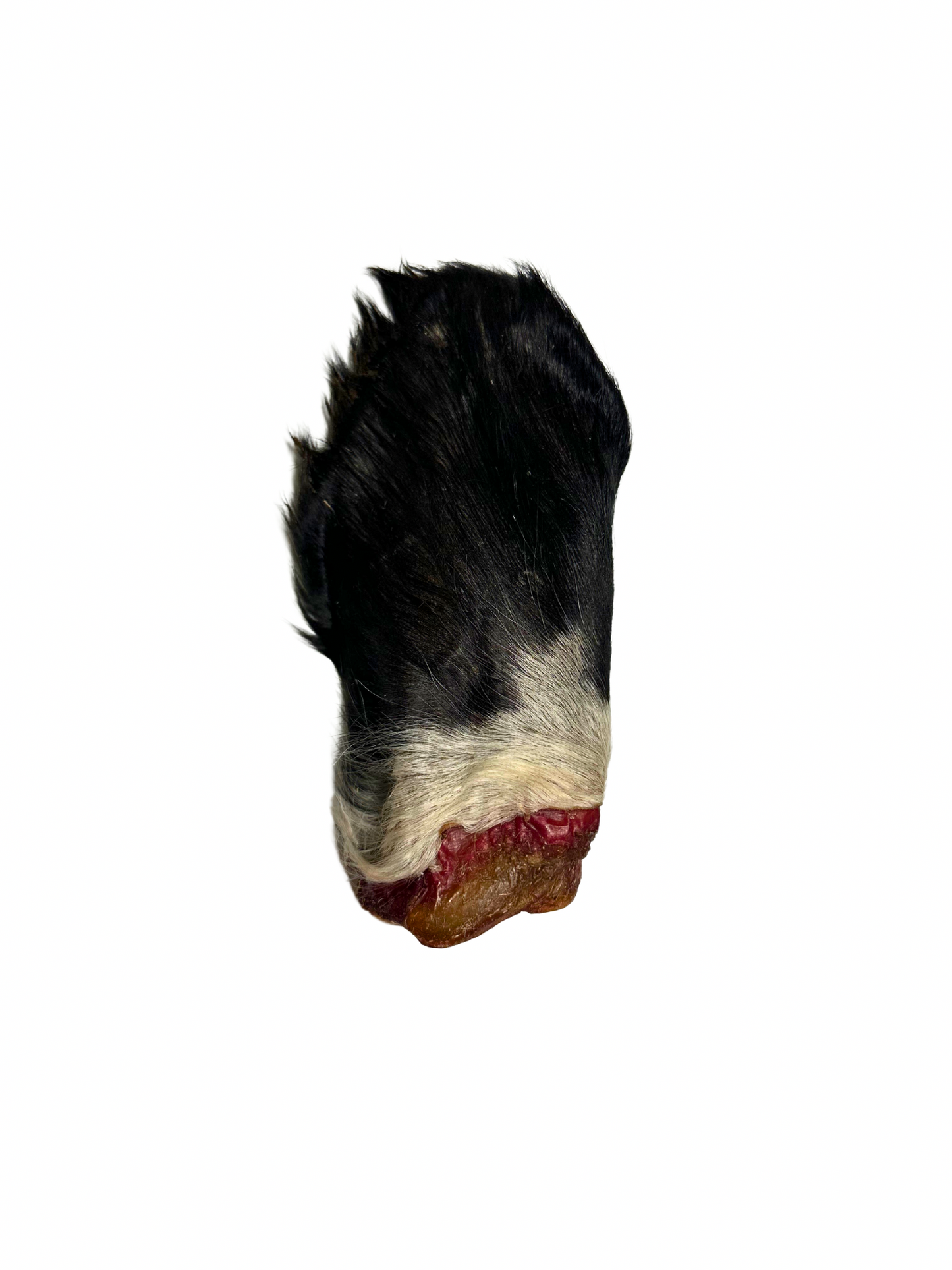 Fur-On Cow Ears