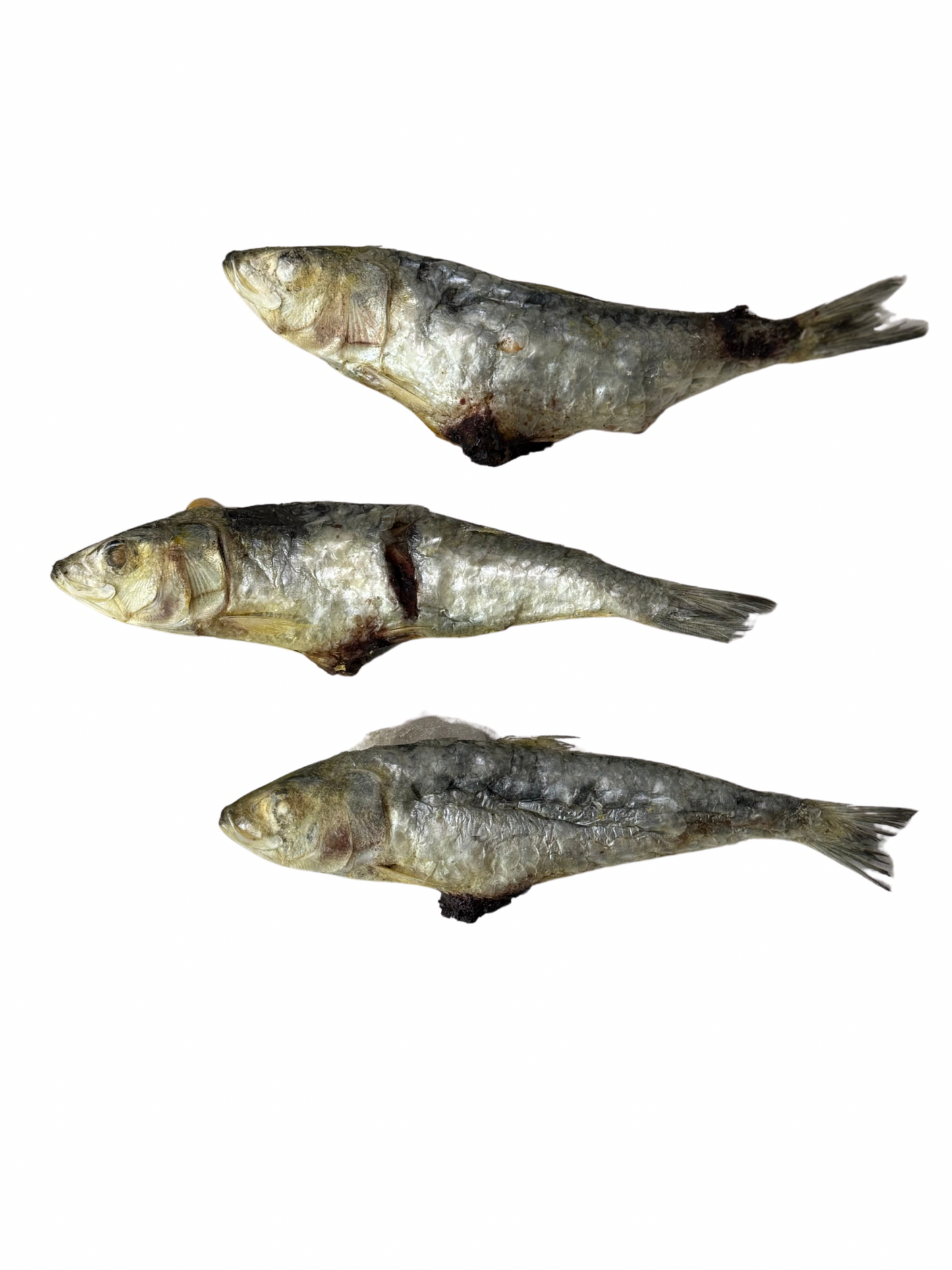 Whole Wild Caught Sardines