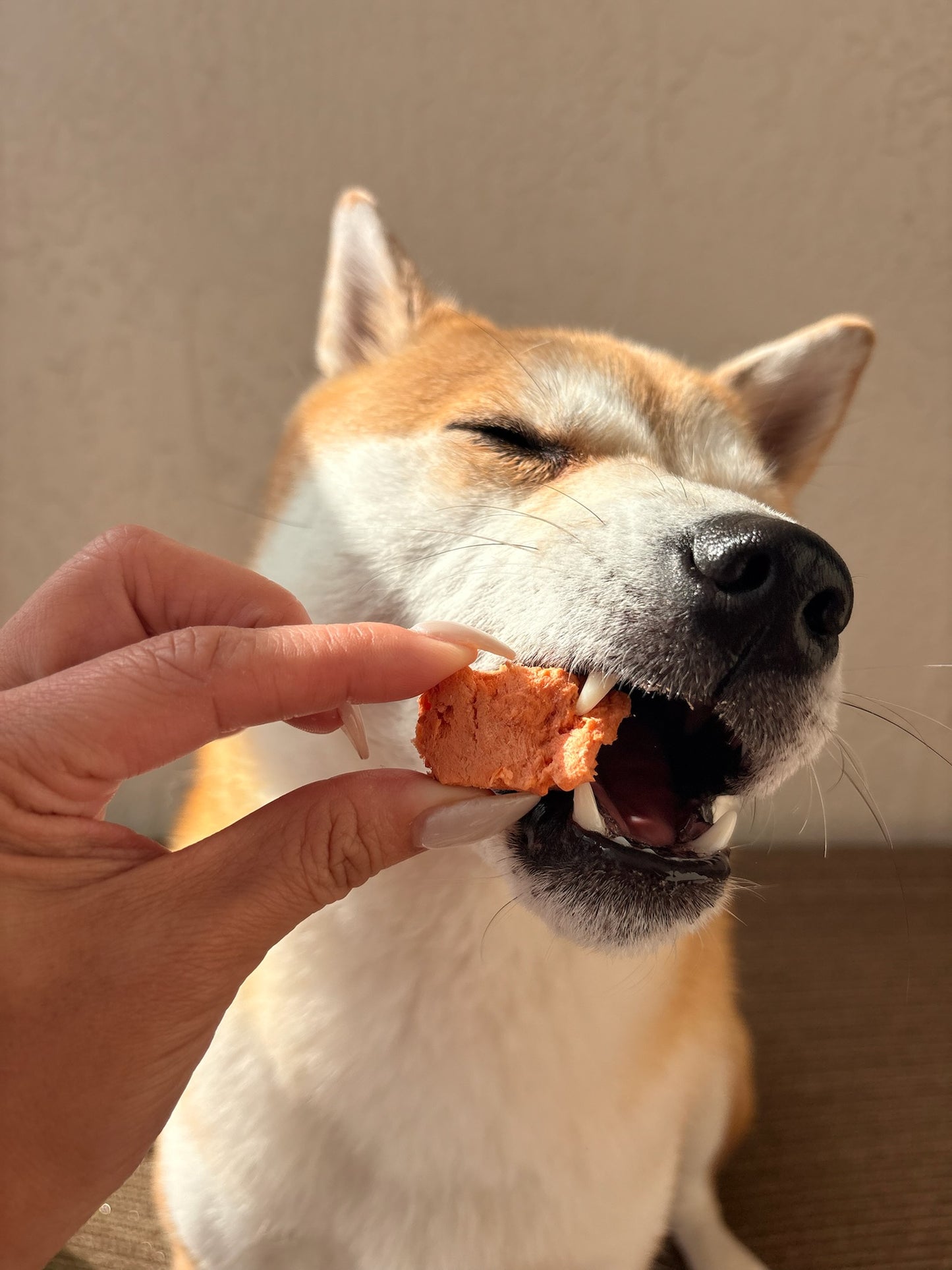 Carnivore Bites - Sockeye Salmon