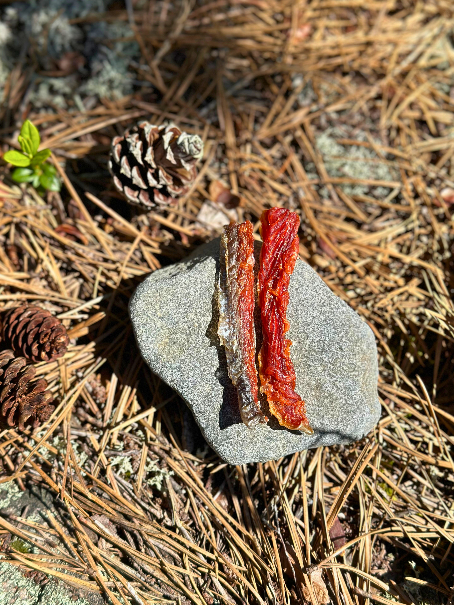 Carnivore Chips - Sockeye Salmon 4oz